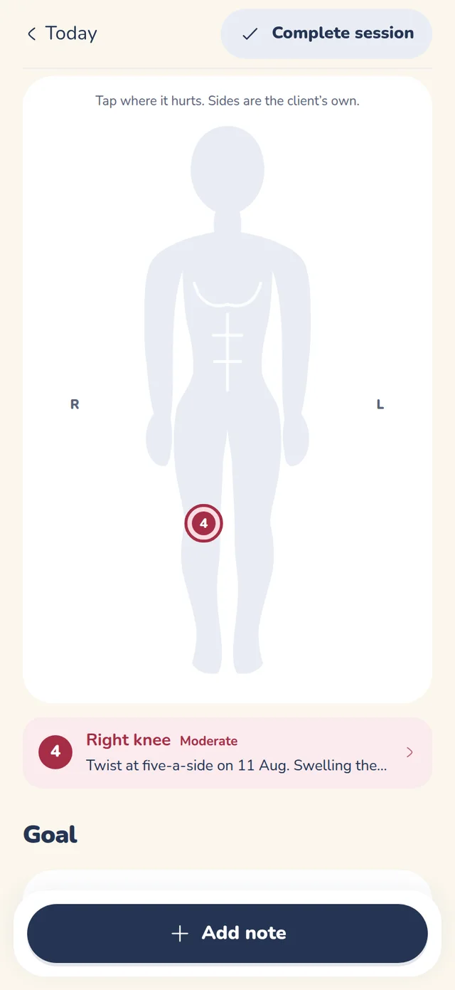 A body chart with a marked, rated region.